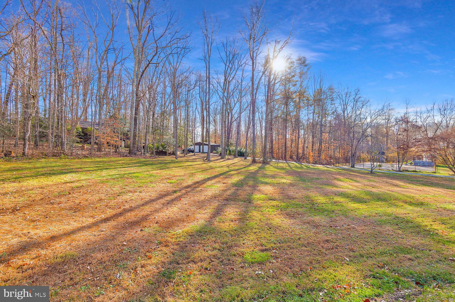 111 Autumn Court Huntingtown, MD 20639 - Photo 41 of 48 a view of an empty room with a small yard and large tree