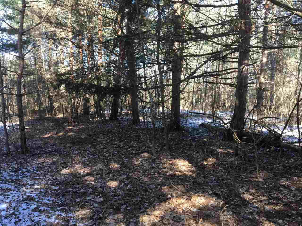 Parcel A North Byron Road Lennon, MI 48449 - Photo 20 of 22