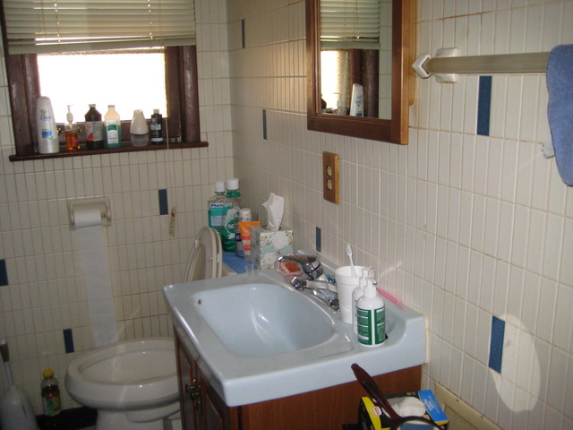 325 High Ridge Road Hillside, IL 60162 - Photo 8 of 17 a bathroom with a sink a mirror and a toilet