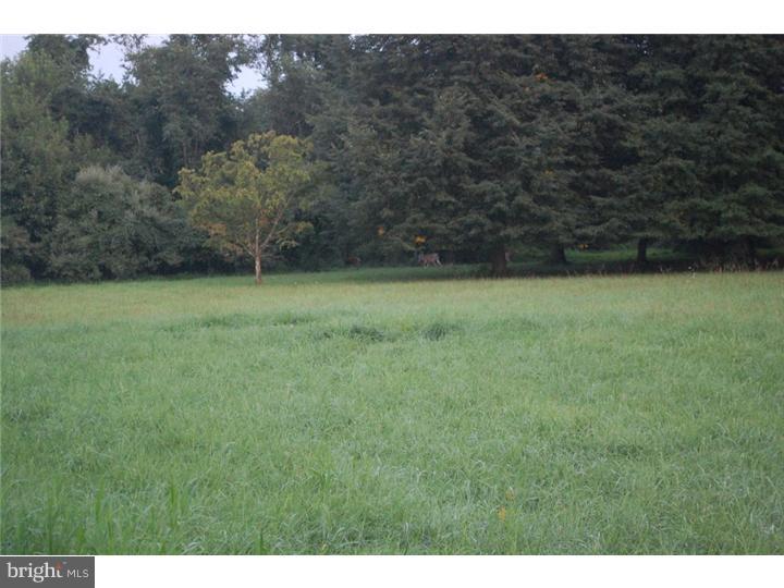 84 Ervin Road Pipersville, PA 18947 - Photo 2 of 18 View