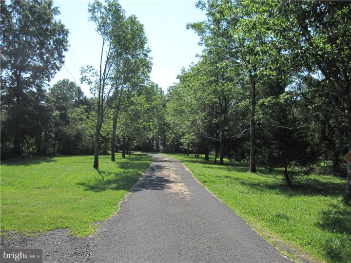 84 Ervin Road Pipersville, PA 18947 - Photo 18 of 18 Driveway