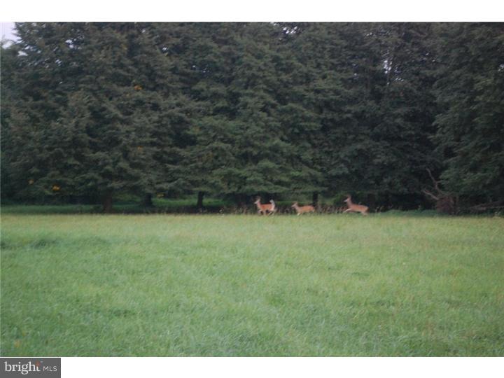 84 Ervin Road Pipersville, PA 18947 - Photo 3 of 18 View