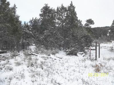 25 Ragsdale Road Norwood, CO 81423 - Photo 5 of 8 lot25SEcorner
