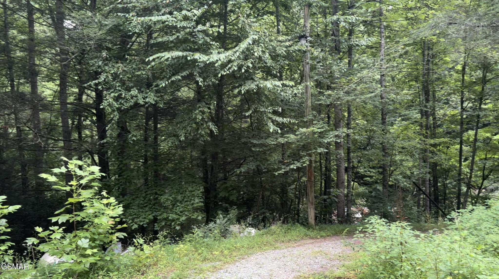 1210 Laurel Lick Road Pigeon Forge, TN 37862 - Photo 8 of 15