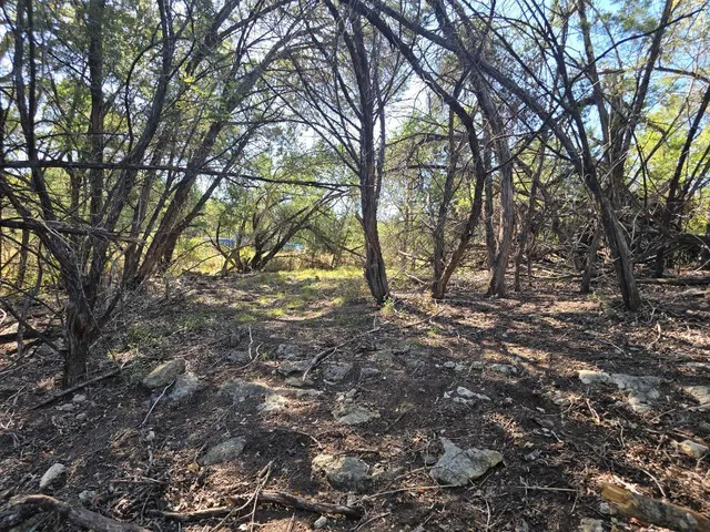 a view of outdoor space with trees