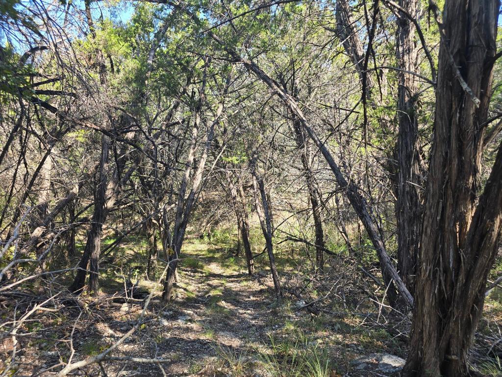 20702 Oak Ridge Lago Vista, TX 78645 - Photo 4 of 7