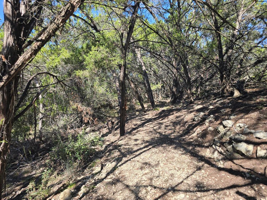 20702 Oak Ridge Lago Vista, TX 78645 - Photo 5 of 7 a view of trees with yard
