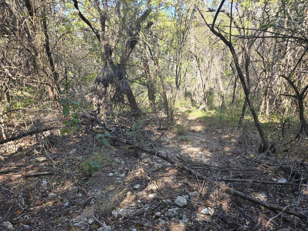 20702 Oak Ridge Lago Vista, TX 78645 - Photo 6 of 7 a view of forest