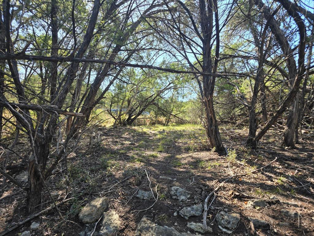 20702 Oak Ridge Lago Vista, TX 78645 - Photo 7 of 7 a view of a yard with a tree