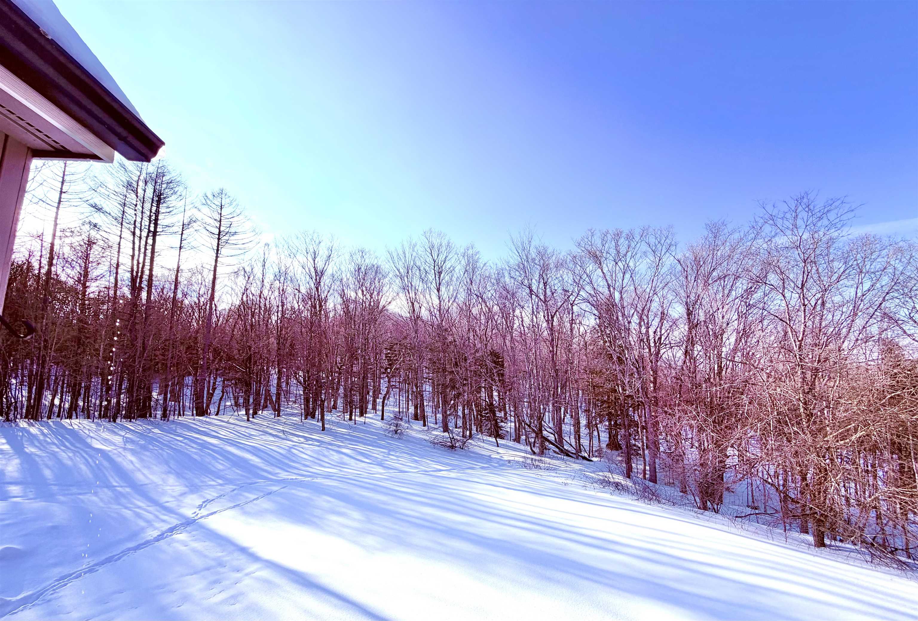 28 E Crosstown Road West Dover, VT 05356 - Photo 30 of 31