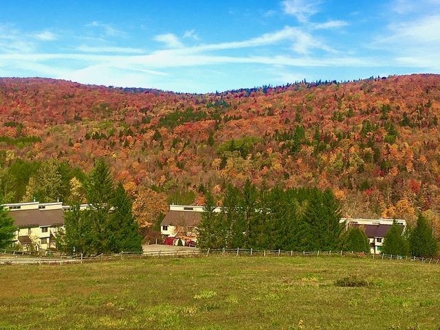 28 E Crosstown Road West Dover, VT 05356 - Photo 31 of 31