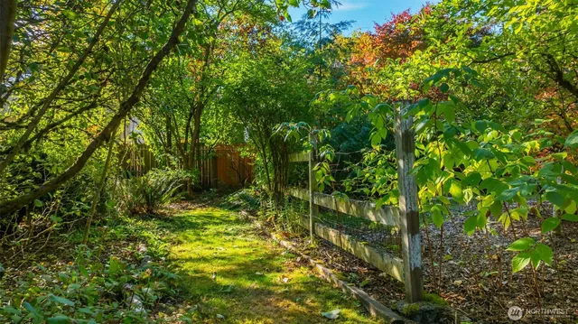 a view of a yard with a tree