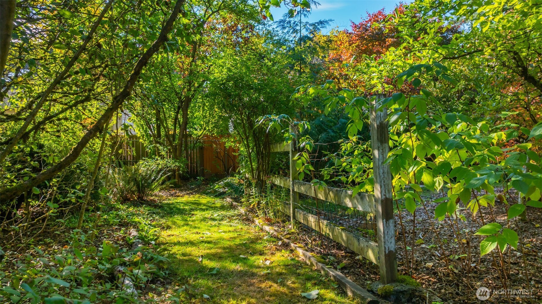 4730 228th Street Southeast Bothell, WA 98021 - Photo 33 of 37 a backyard of a house with lots of green space