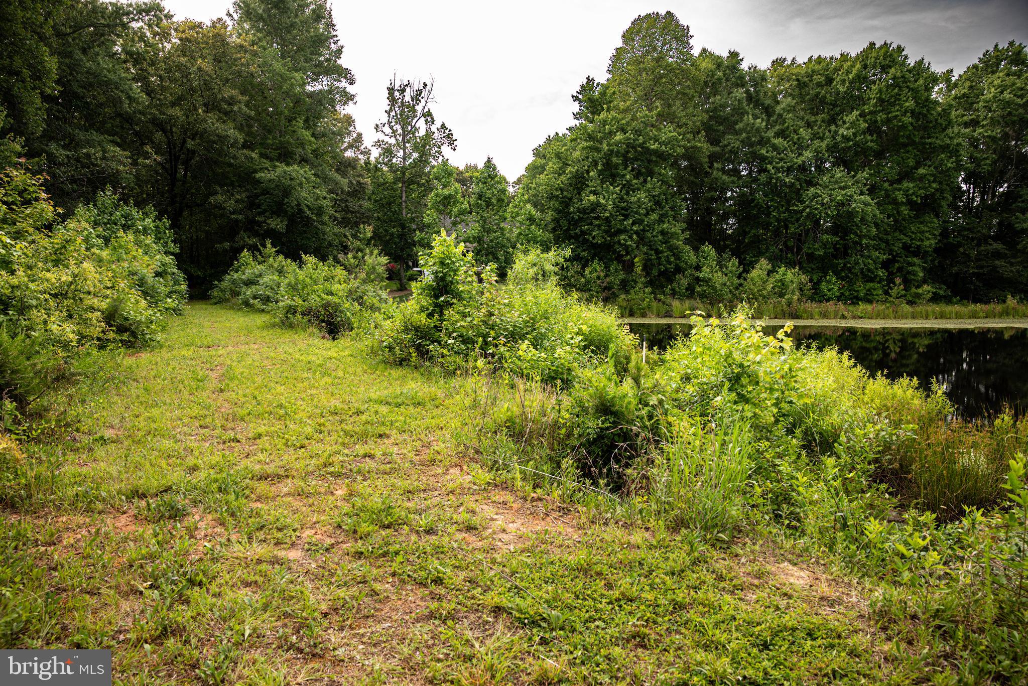 Tbd Devonwood Road Montpelier, VA 23192 - Photo 33 of 41