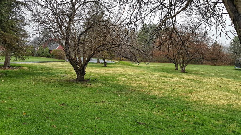 2702 Graceland Road New Castle, PA 16105 - Photo 7 of 25 look no further than the side yard for deer and turkey.