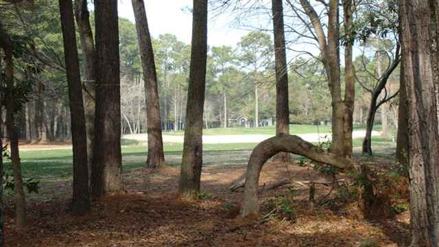 1220 Clipper Road North Myrtle Beach, SC 29582 - Photo 9 of 10 Gallery Image 9