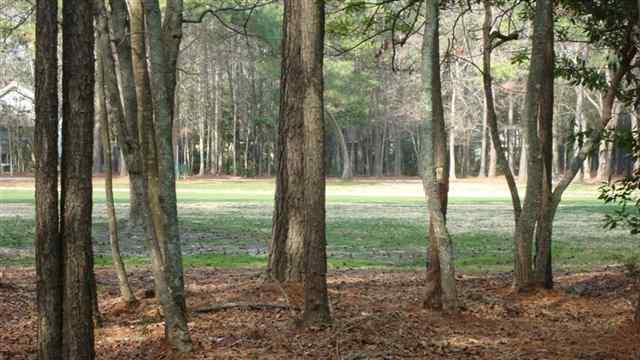 1220 Clipper Road North Myrtle Beach, SC 29582 - Photo 10 of 10 Gallery Image 10