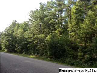 1 County Road 43 Clanton, AL 35046 - Photo 1 of 3