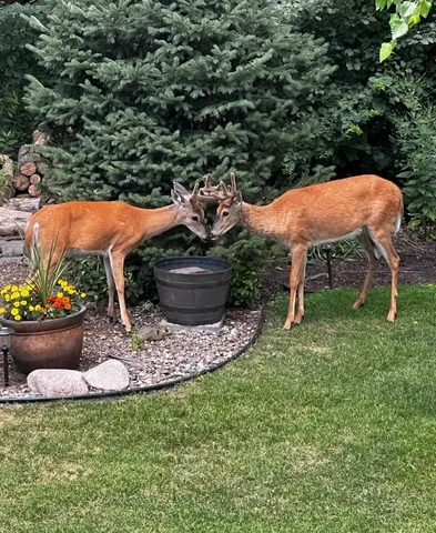 $519,000 | 17990 Nixon Drive Northwest, Elk River, MN 55330