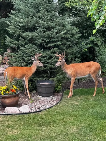 $519,000 | 17990 Nixon Drive Northwest, Elk River, MN 55330