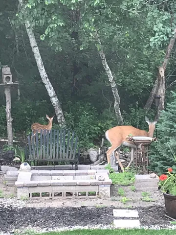 $519,000 | 17990 Nixon Drive Northwest, Elk River, MN 55330