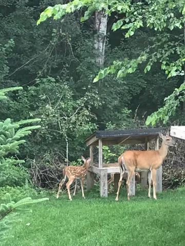 $519,000 | 17990 Nixon Drive Northwest, Elk River, MN 55330