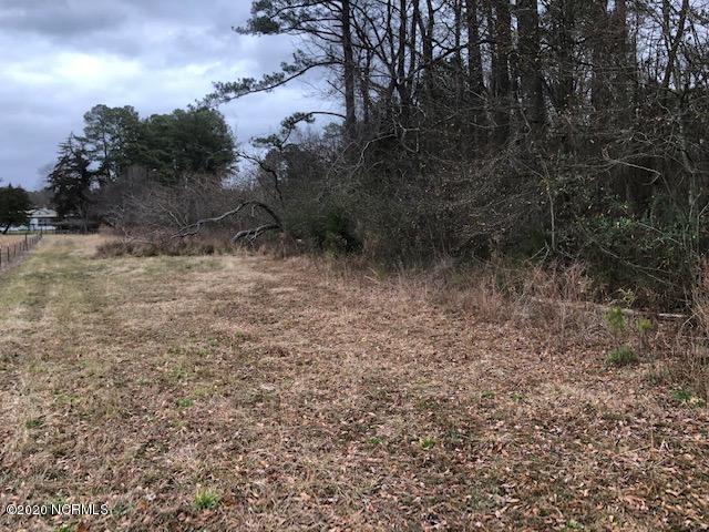 0 Coker Town Road Whitakers, NC 27891 - Photo 8 of 8 wooded area