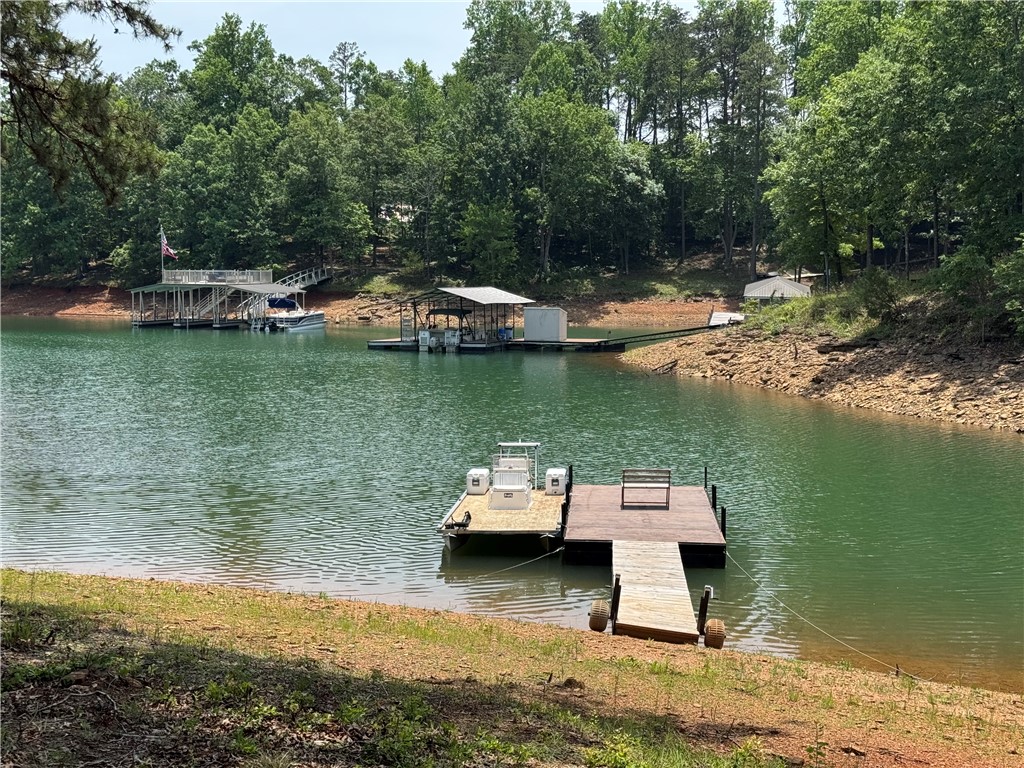 398 Hidden Point Road Hartwell, GA 30643 - Photo 46 of 46 A tranquil lake scene with multiple docks and lush, green treelines along the shore.