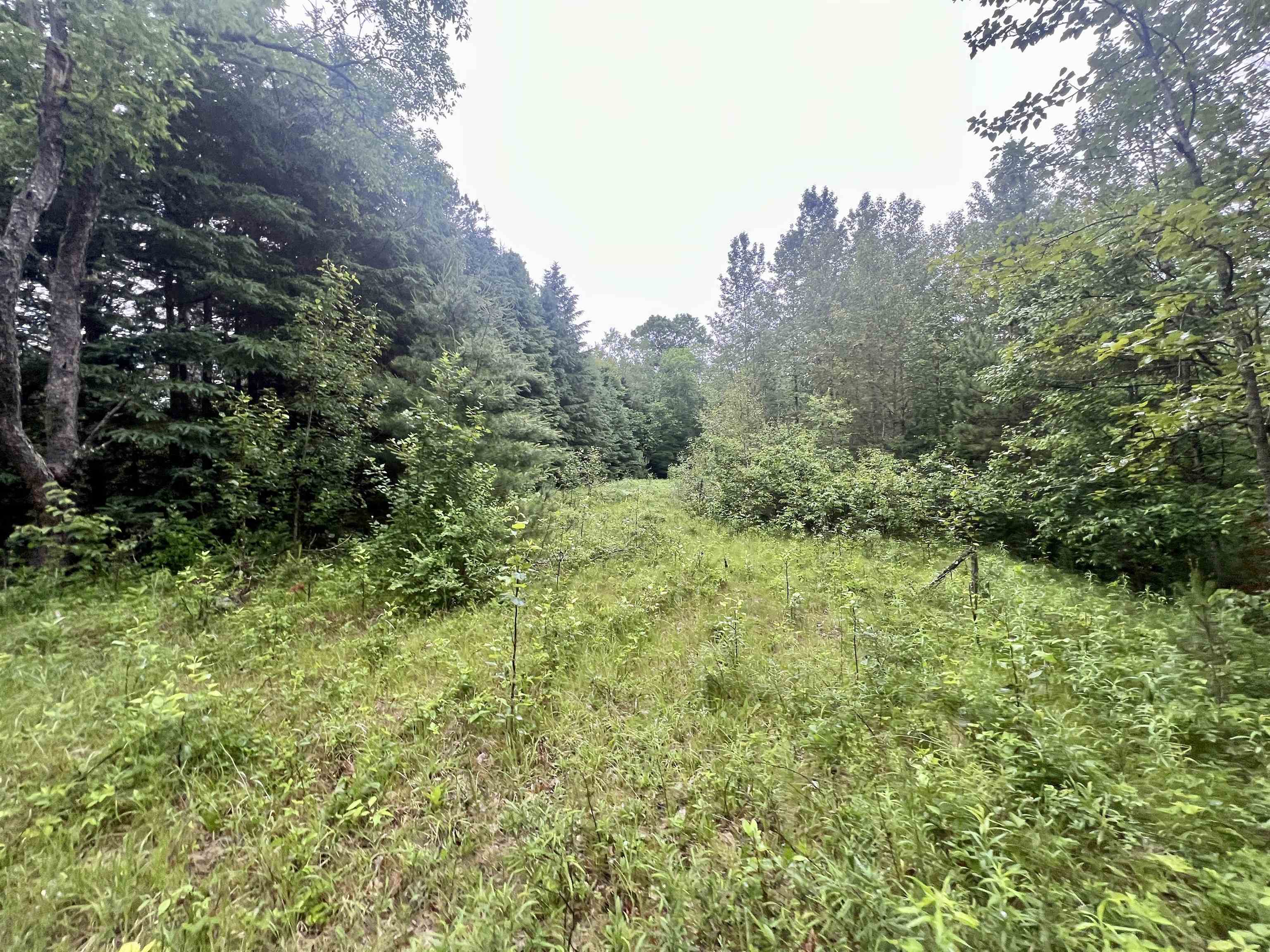W8801 Moonshine Hill Road Crivitz, WI 54114 - Photo 16 of 39