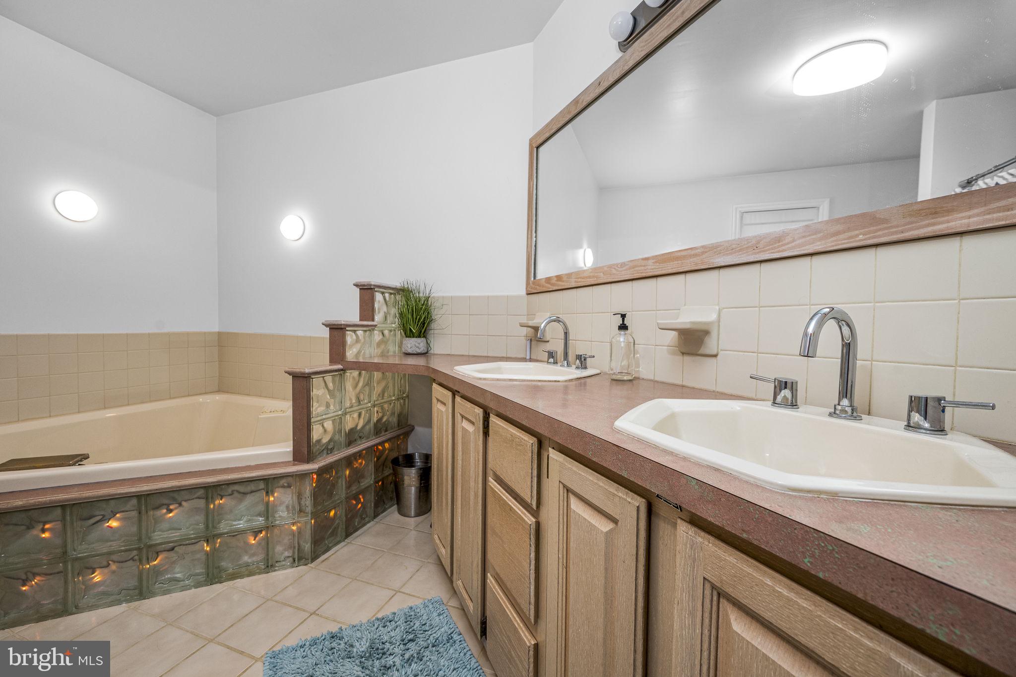 332 North Cedar Street Lititz, PA 17543 - Photo 20 of 30 a bathroom with a double vanity sink a mirror and bathtub