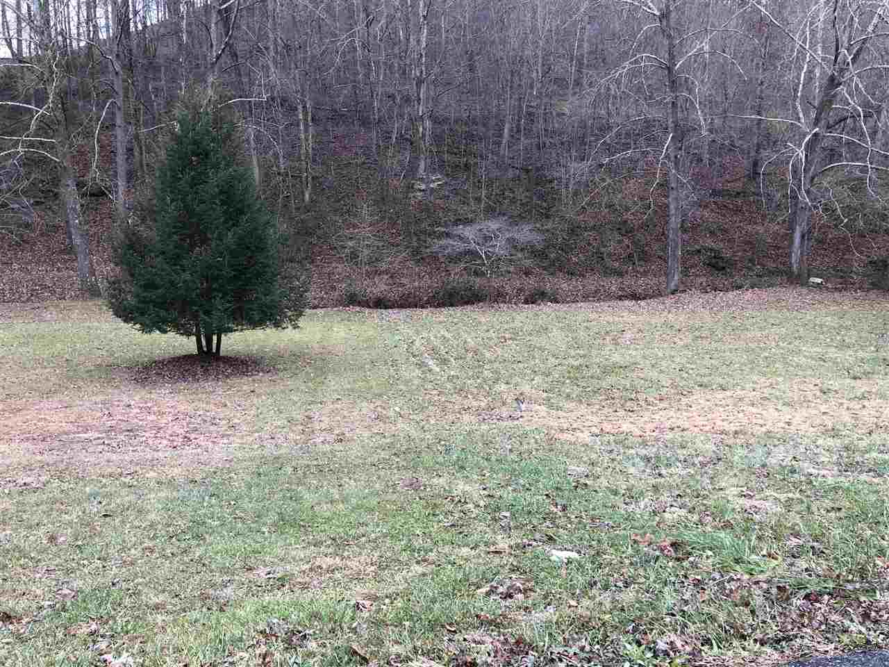 Indian Run Road Flatwoods, KY 41139 - Photo 1 of 1