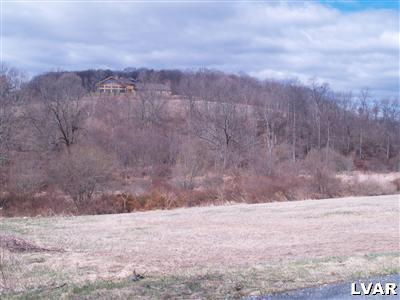 0 Knauss Road Nazareth, PA 18064 - Photo 3 of 4 a view of a yard