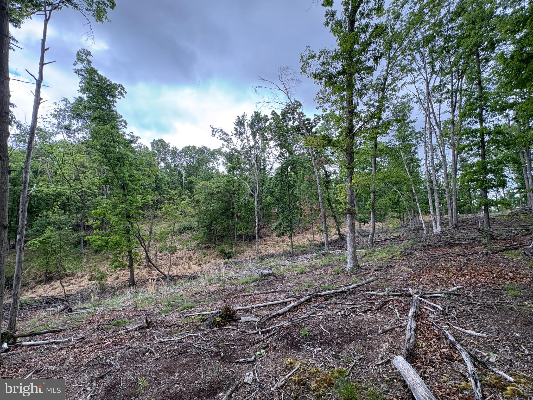 40.15-ac Middle Ridge Road Burlington, WV 26710 - Photo 11 of 47