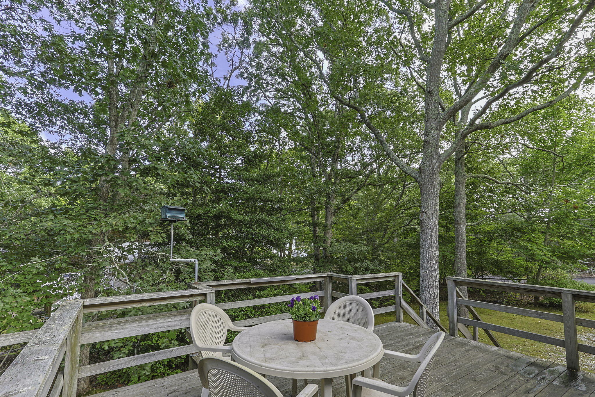 168 Pleasant Bay Road Harwich, MA 02645 - Photo 38 of 52 44-web-or-mls-168-pleasant-bay-rd