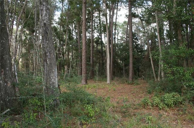 21141 Little River Bend Covington, LA 70433 - Photo 11 of 34