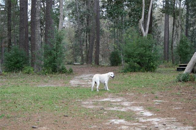 21141 Little River Bend Covington, LA 70433 - Photo 12 of 34