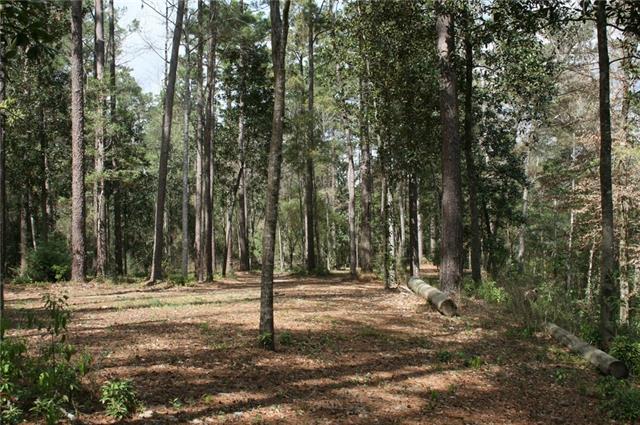 21141 Little River Bend Covington, LA 70433 - Photo 19 of 34