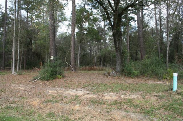 21141 Little River Bend Covington, LA 70433 - Photo 2 of 34