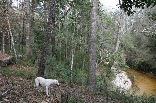 21141 Little River Bend Covington, LA 70433 - Photo 26 of 34