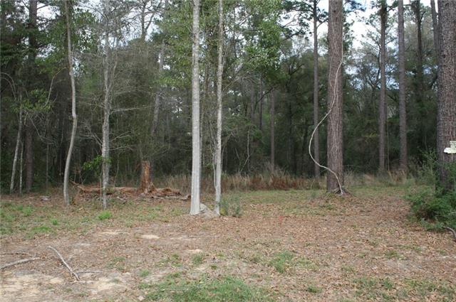 21141 Little River Bend Covington, LA 70433 - Photo 3 of 34