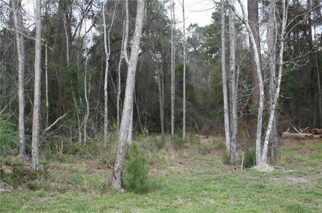 21141 Little River Bend Covington, LA 70433 - Photo 4 of 34