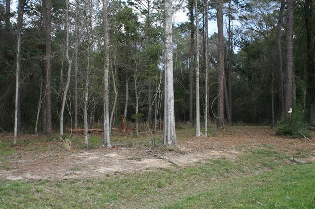 21141 Little River Bend Covington, LA 70433 - Photo 6 of 34