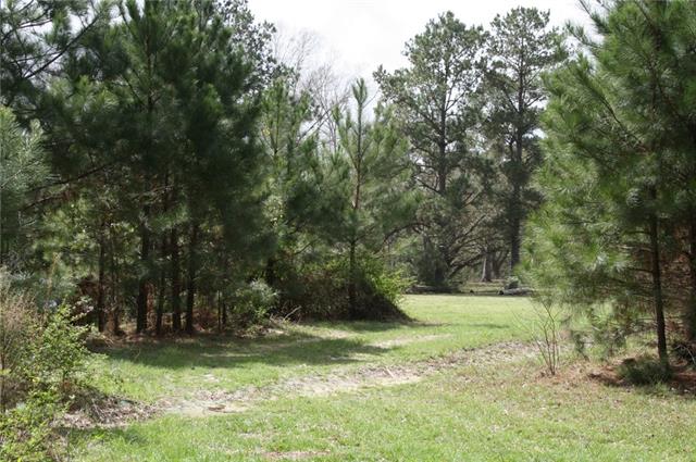 21141 Little River Bend Covington, LA 70433 - Photo 7 of 34