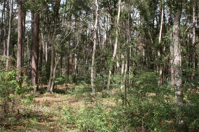 21141 Little River Bend Covington, LA 70433 - Photo 9 of 34