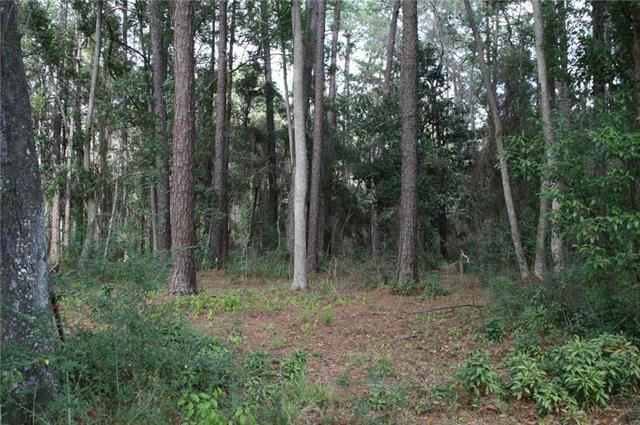 21141 Little River Bend Covington, LA 70433 - Photo 10 of 34