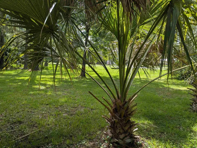 $850,000 | 2538 Highway 98 West, Carrabelle, FL 32322