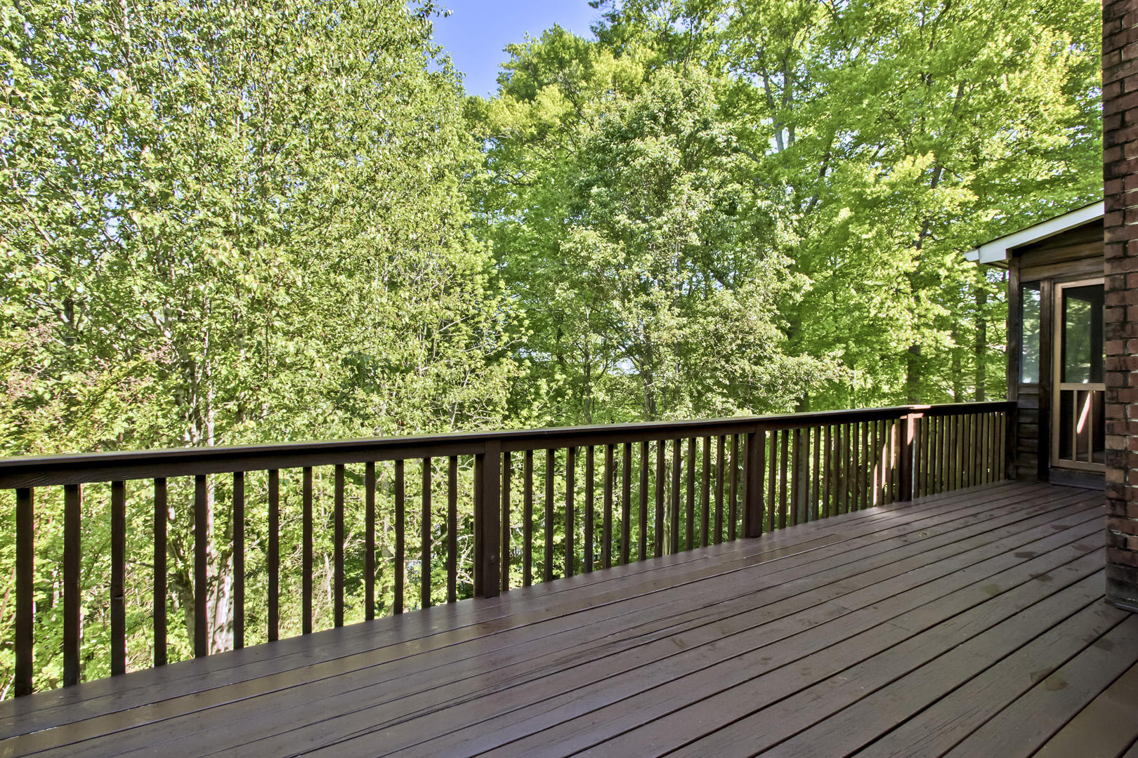 141 Baypath Drive Oak Ridge, TN 37830 - Photo 6 of 40 06_BaypathDrive_141_Deck