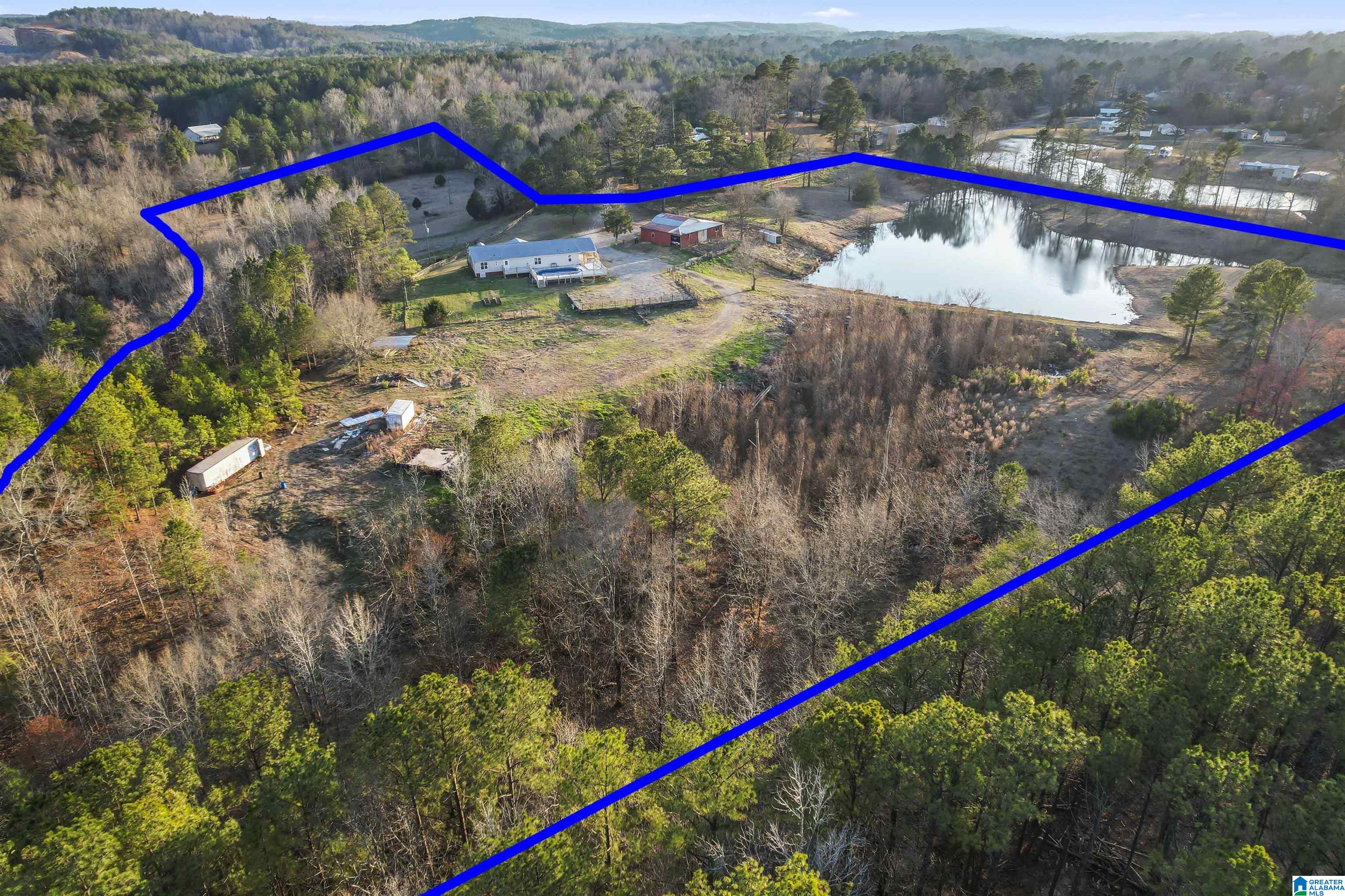 7080 Parsons Lake Road Adger, AL 35006 - Photo 55 of 59