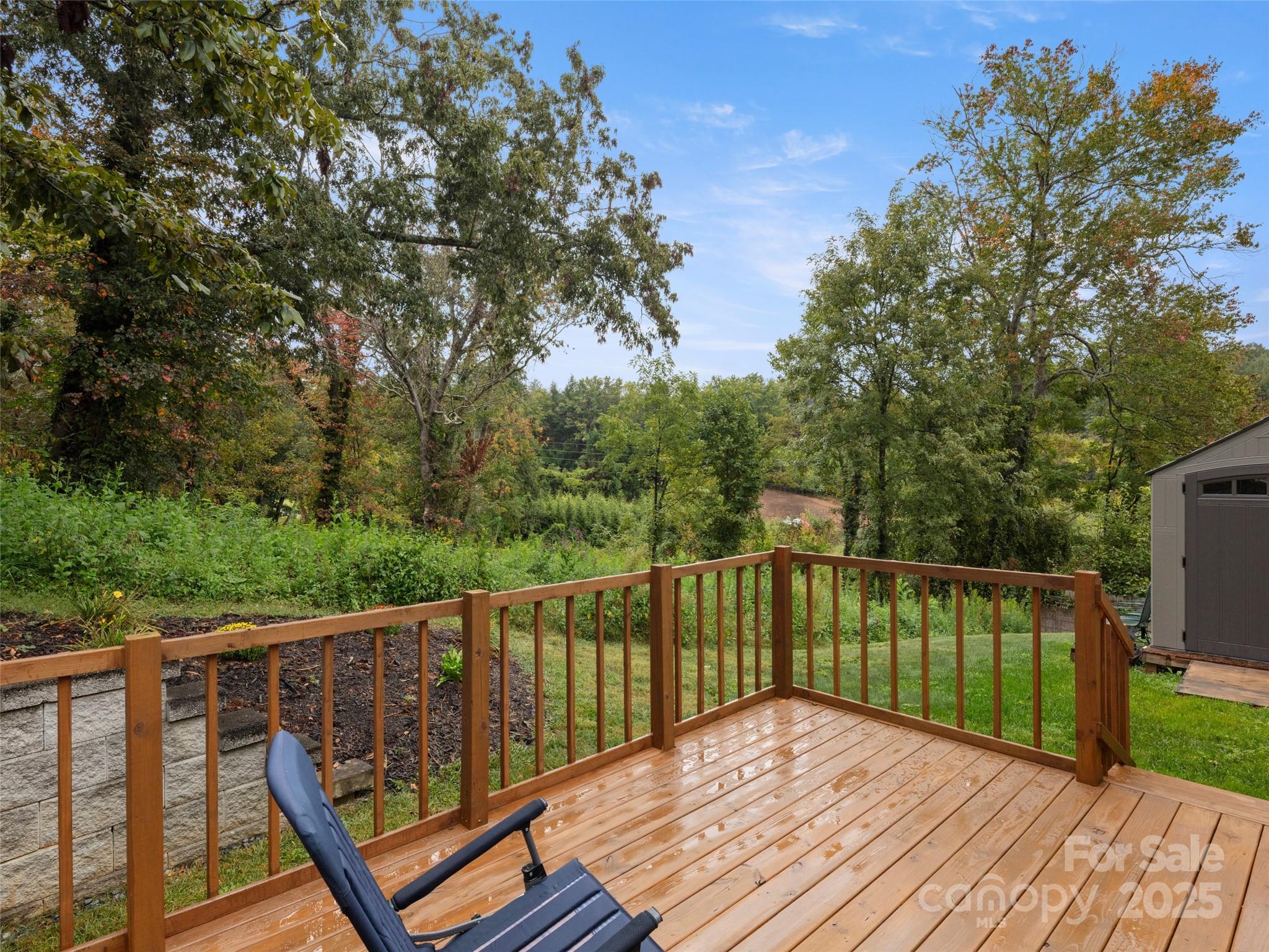 50 Ridgeland Lane Asheville, NC 28805 - Photo 14 of 26