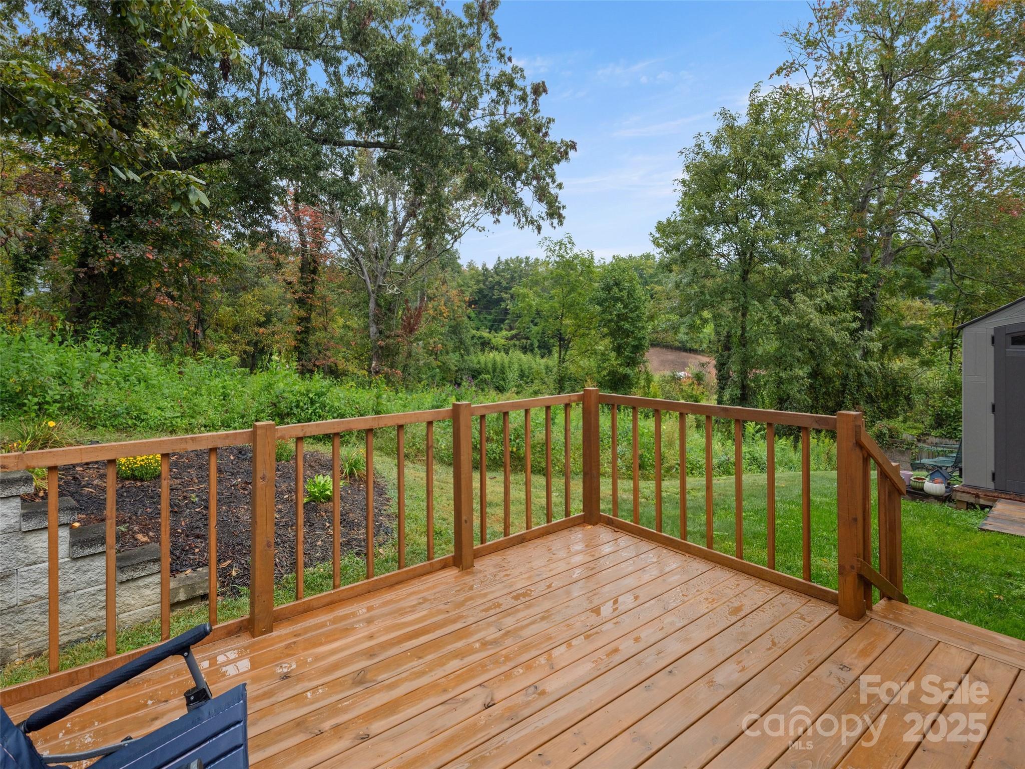 50 Ridgeland Lane Asheville, NC 28805 - Photo 15 of 26